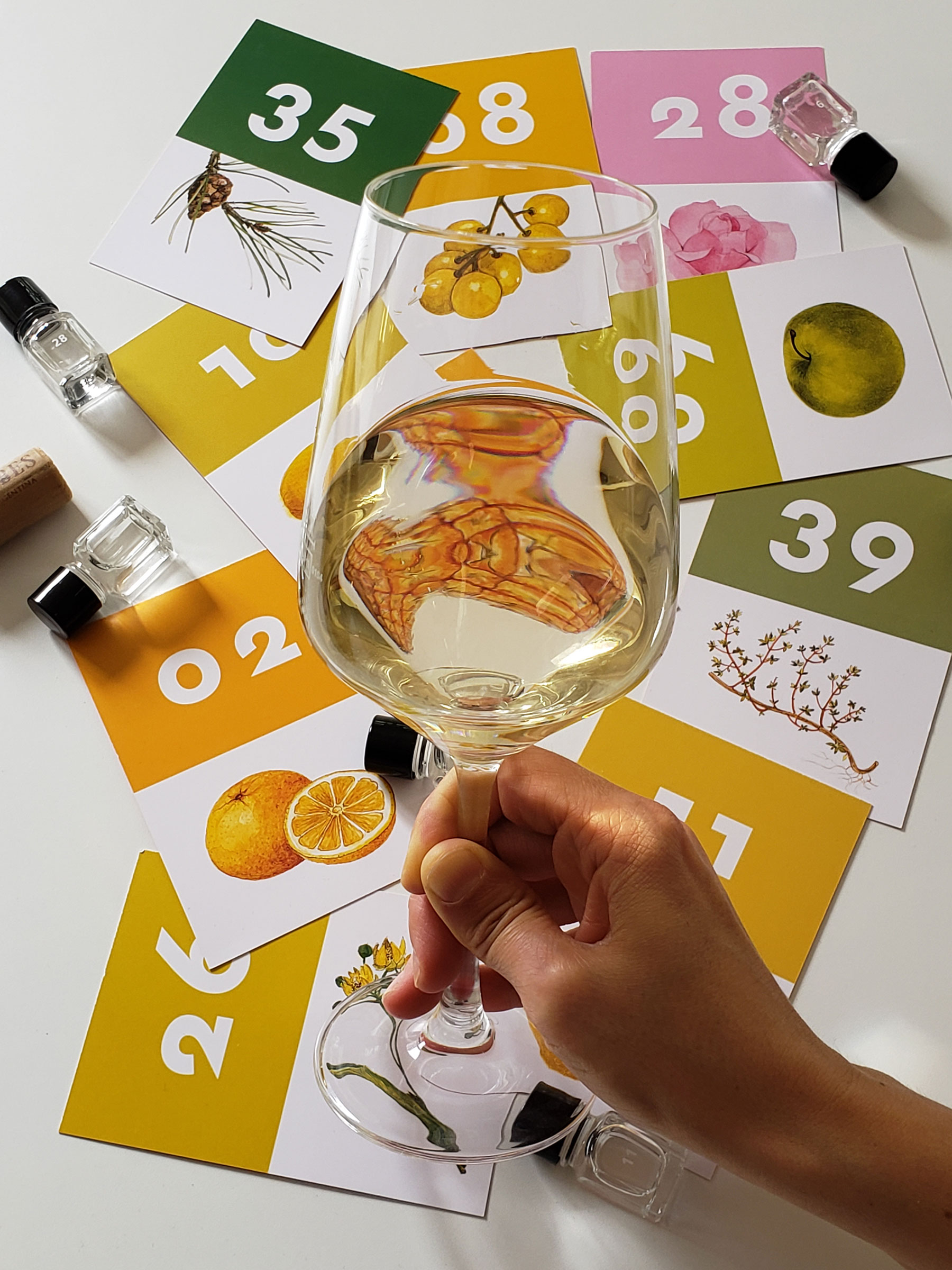 wine aromas training wine aromas training