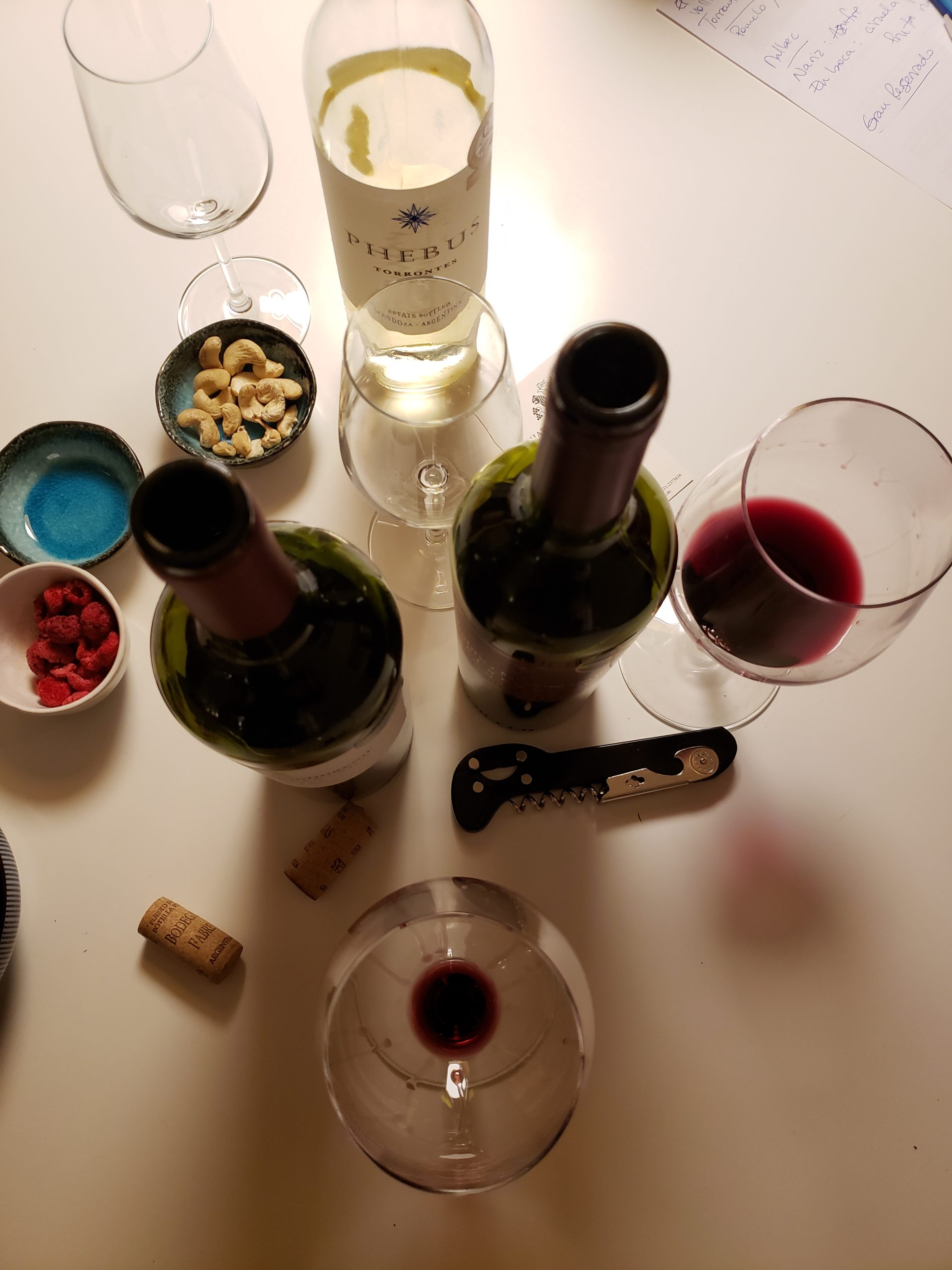 south american wines tasting